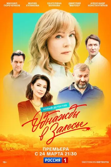 Однажды в Залесье смотреть бесплатно